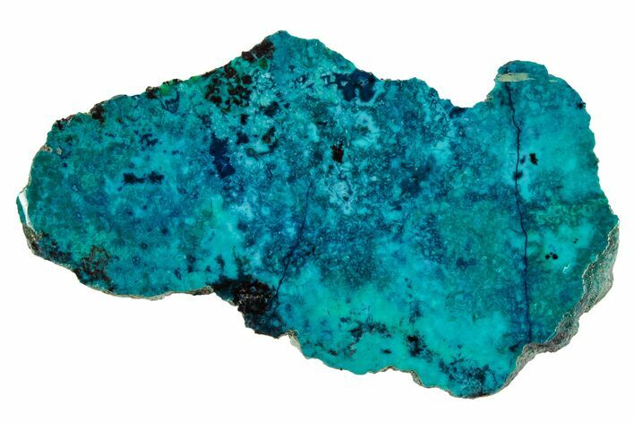 Vibrant Chrysocolla and Shattuckite Slab - Mexico #337045